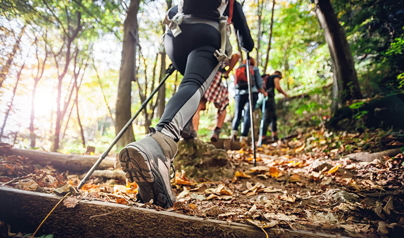 Best women's hiking clearance trousers